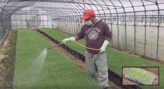 農業生産法人 有限会社ファームヤード